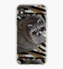 Raccoon iPhone Case