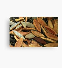 funny groundcover Canvas Print
