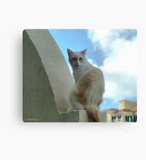 In High Places Canvas Print