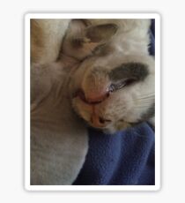 Kitty Teeth Sticker