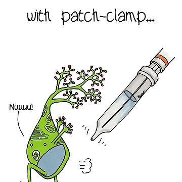 Artwork thumbnail, The real problem with patch-clamp ephys by Immy