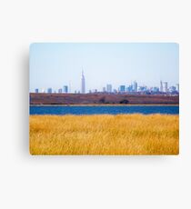Lienzo The Skyline