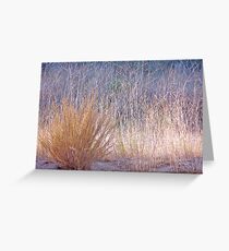 Into Gold Greeting Card