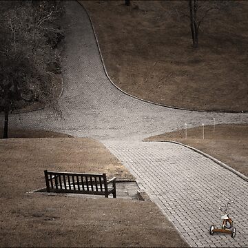 Artwork thumbnail, Crossroads by ronmoss