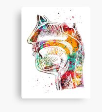 Respiratory system Canvas Print