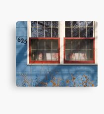 Acquaintance #8 Canvas Print
