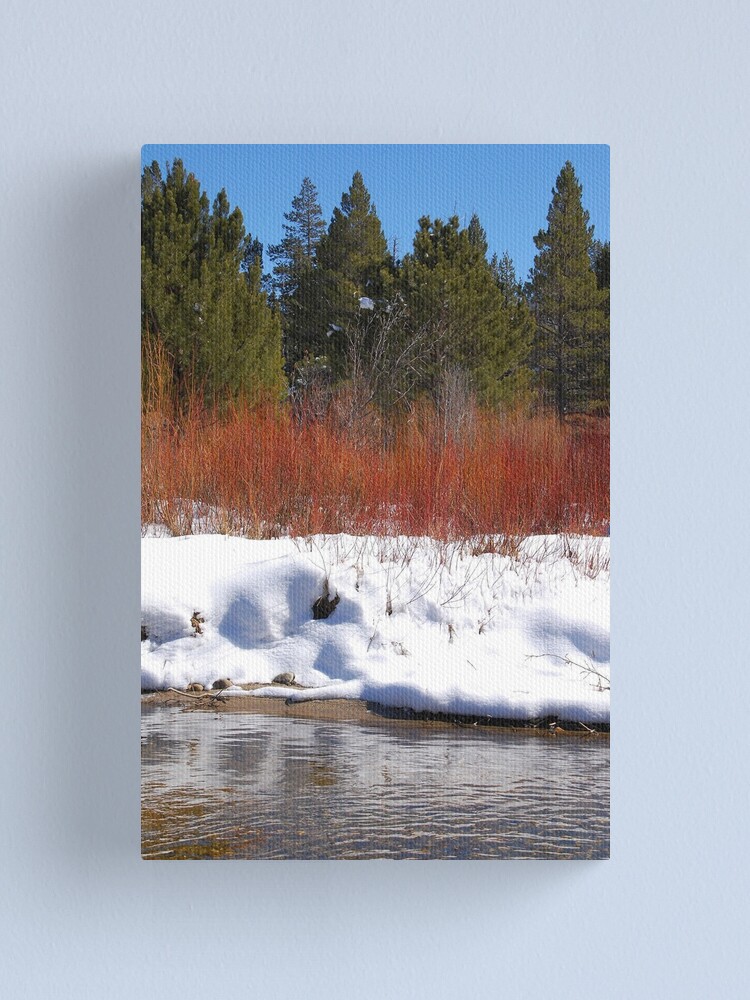 Alternate view of Brilliant Willow Canvas Print