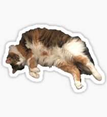 Sanfte Mieze Sticker