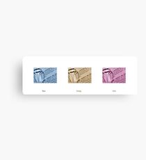 Step by Step Canvas Print