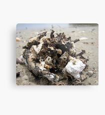 A little bit of drifting Metal Print