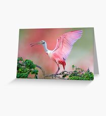 Roseate Greeting Card