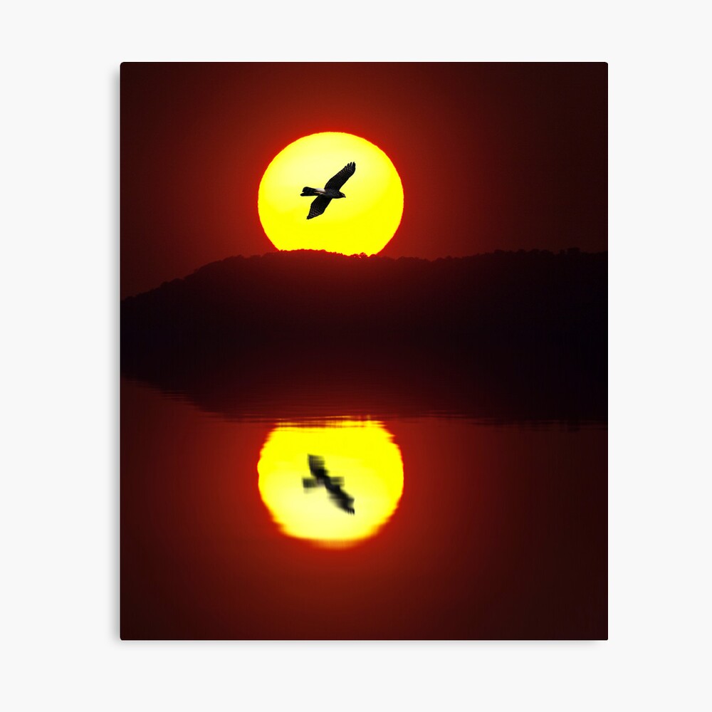Burning Desire Canvas Print