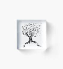 Autumn Willow Acrylic Block