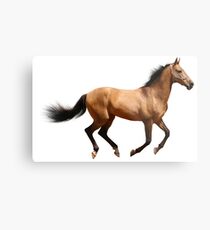Laufendes Pferd Metalldruck