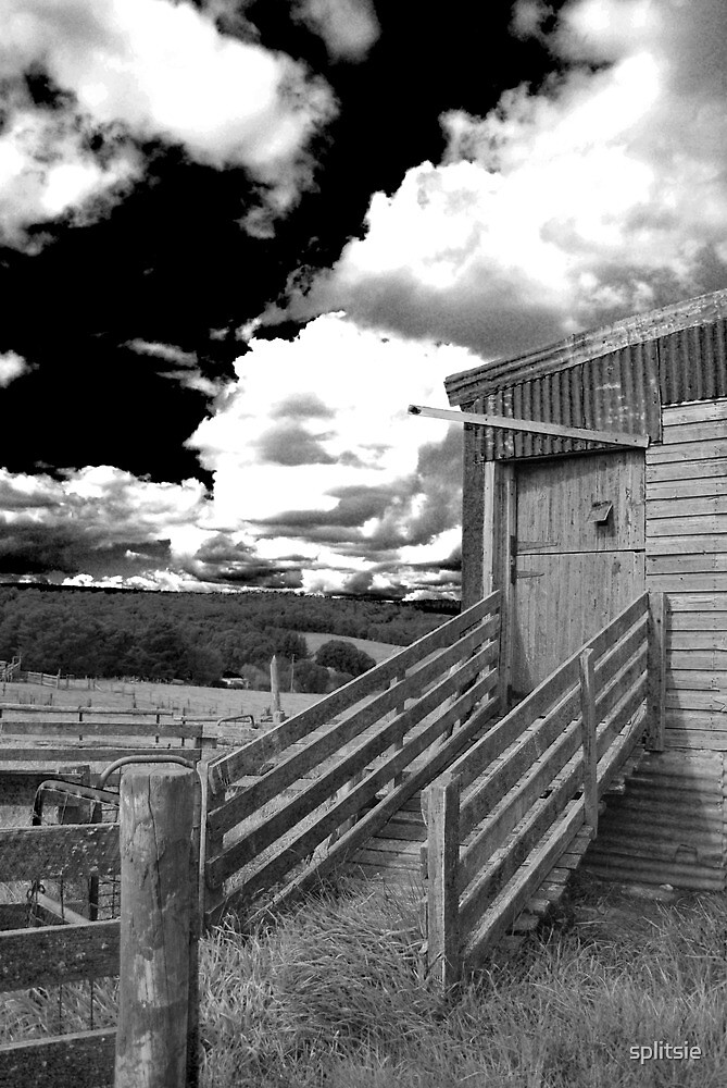 "Dark Skies - Ominous clouds over a run down shearing shed 