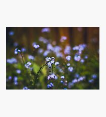 Untitled Photographic Print