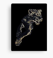 African Lion Cub - Young Lion Canvas Print