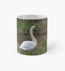 Mute Swan Mug