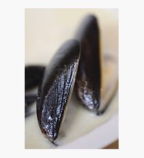 Mussels Photographic Print