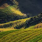 Waves by Michael Breitung