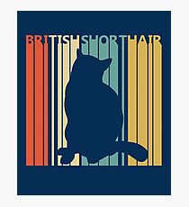 British Shorthair Cat Photographic Print