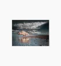 King Island Art Board