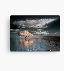 King Island Canvas Print
