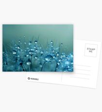 Blue Shower Postcards