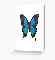 blue butterfly Greeting Card