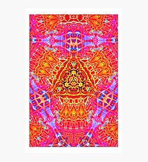 Helio Photographic Print