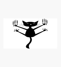Lámina fotográfica falta de gato