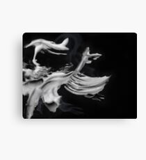 Smaug Canvas Print