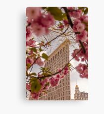 Lienzo Edificio Flatiron en Nueva York en primavera