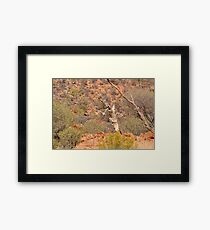 The hunt for survival begins Framed Print