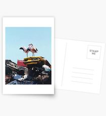 Flamingo - Josh Keyes Postcards