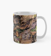 Summer is gone, Autumn is finally here Mug