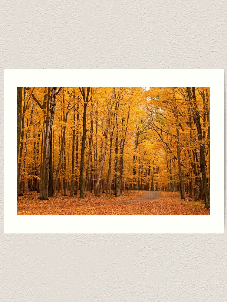 Fall In Door County Wisconsin Art Print By Pixelchaser Redbubble