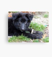 Lieben is Growing Canvas Print