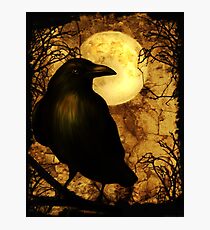The Raven Photographic Print