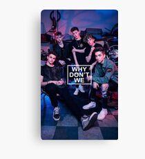 we dont we Canvas Print