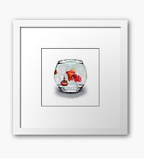 Goldfish Zen Framed Print