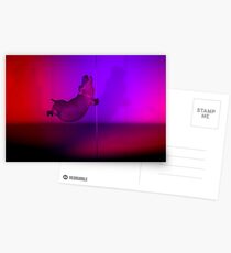 Most Sexiest Pole Dancer Postcards