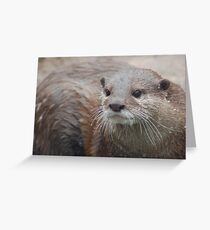 Cute Wiskers Greeting Card