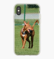 Pharaoh Hound iPhone-Hülle & Cover