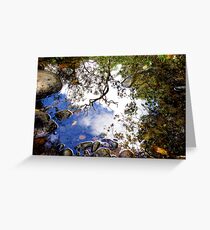 Reflecting upon a flash back Greeting Card