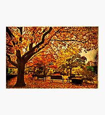 In city garden... Photographic Print