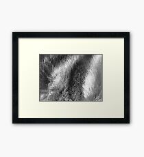 Fur Framed Print