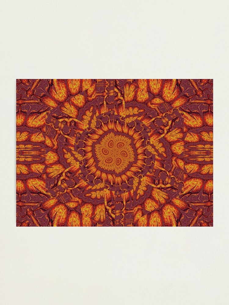 Alternate view of Desert Sunshine 183 Photographic Print
