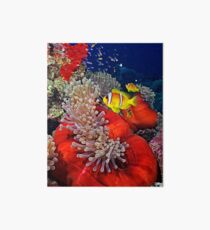 Anemone City Art Board