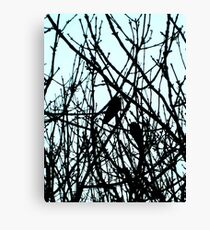 Blackbirds Canvas Print
